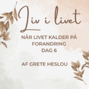LIV i livet 6